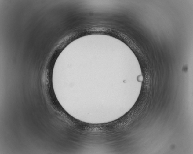 X0000116510731201001201444