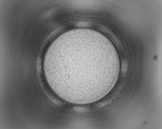 X0000116510733201001201444