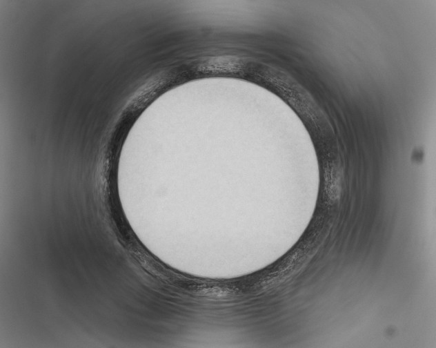 X0000116510735201001201444