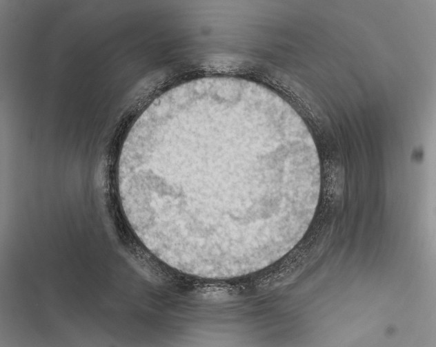 X0000116510738201001201444