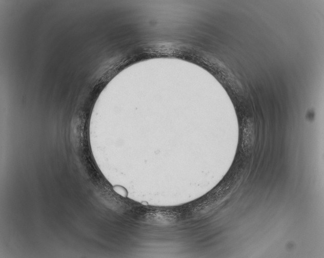 X0000116510739201001201444