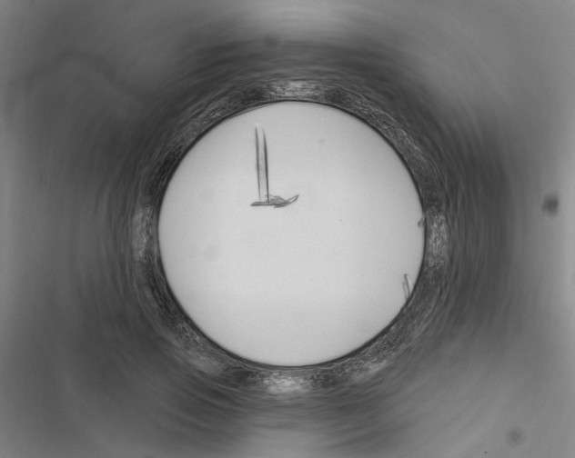 X0000116510741201001201445