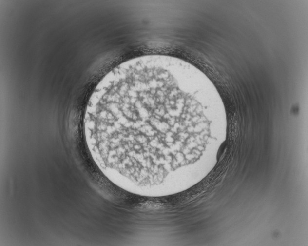 X0000116510742201001201445