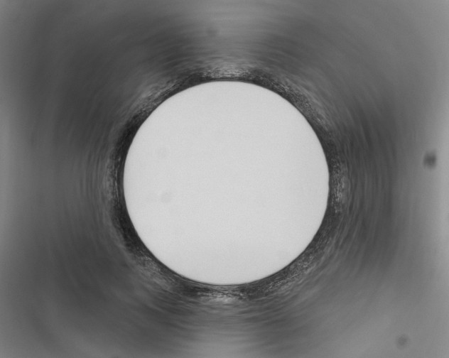 X0000116510743201001201445