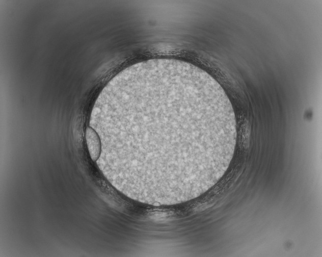 X0000116510746201001201445