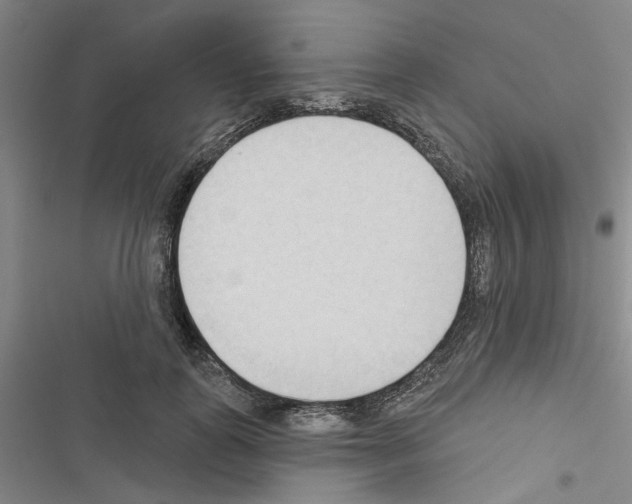 X0000116510747201001201445