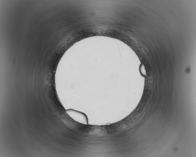 X0000116510750201001201445
