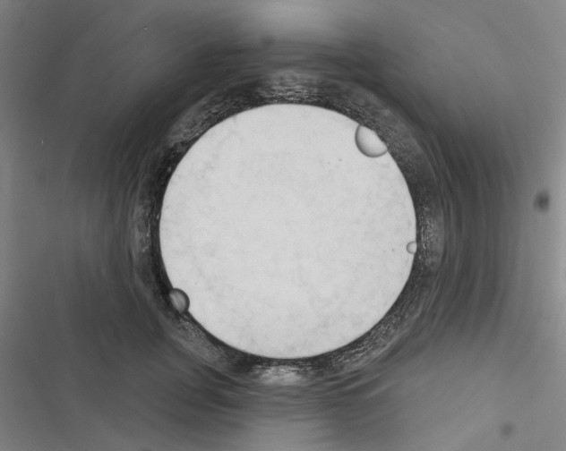X0000116510751201001201445