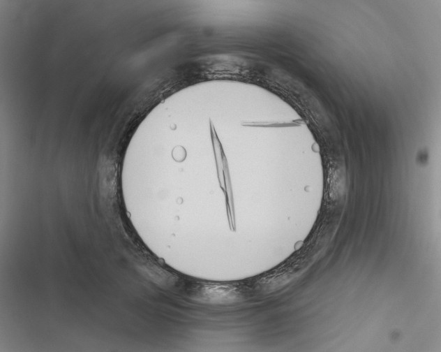 X0000116510753201001201445
