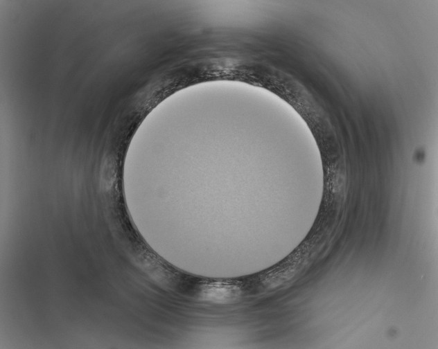X0000116510754201001201445