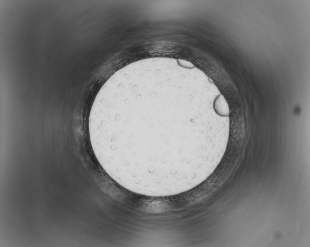 X0000116510755201001201445