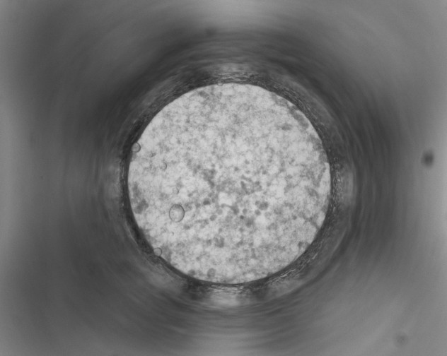 X0000116510757201001201445