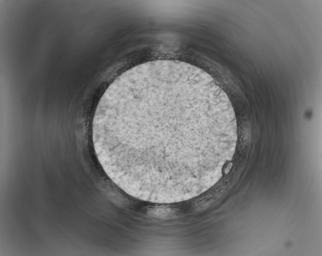X0000116510759201001201445
