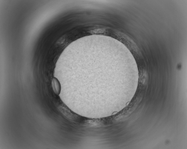 X0000116510763201001201445