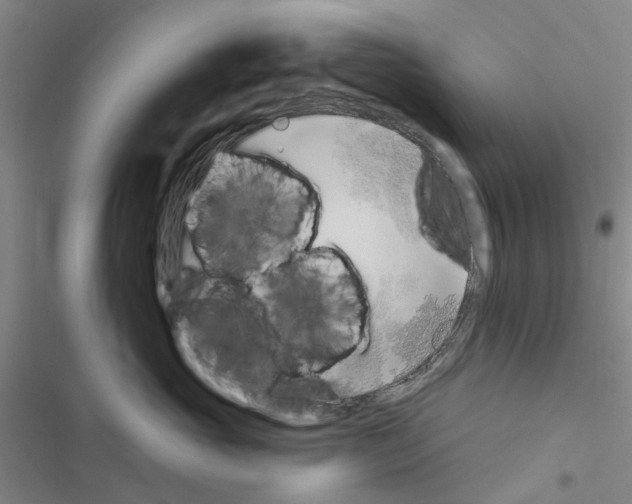 X0000116510765201001201445