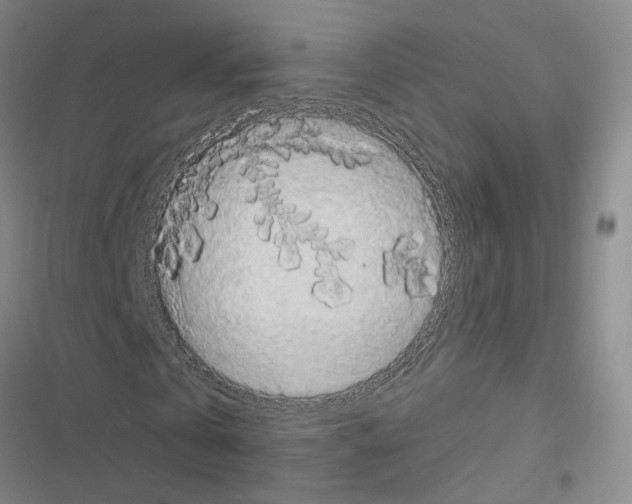 X0000116510769201001201444