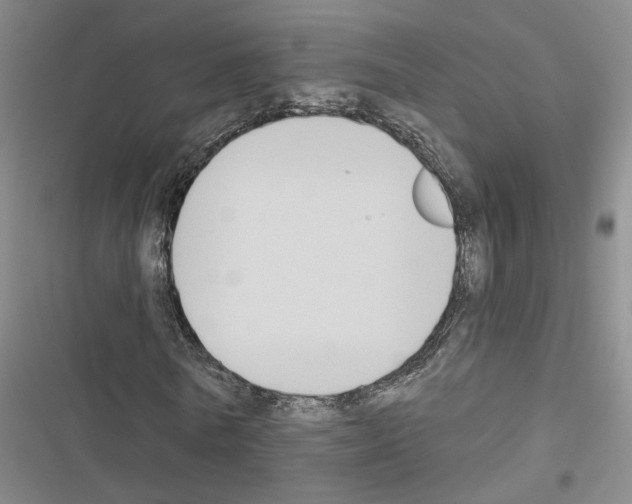 X0000116510770201001201444