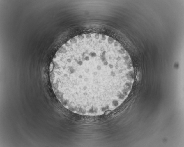 X0000116510771201001201444
