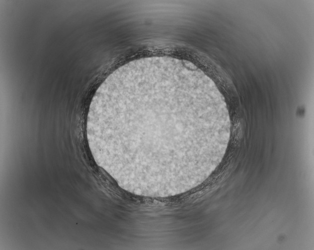 X0000116510772201001201444
