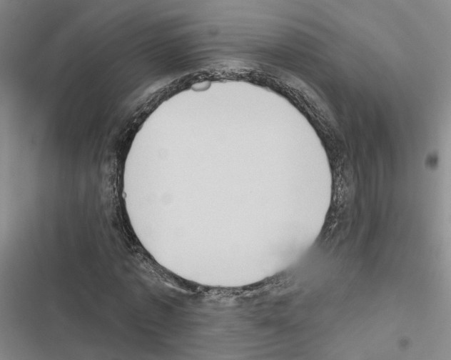 X0000116510773201001201444