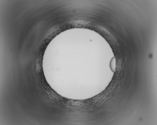 X0000116510774201001201444