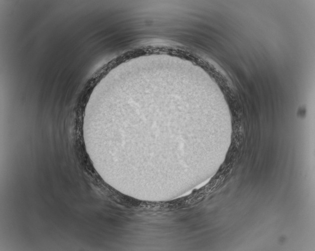 X0000116510775201001201444