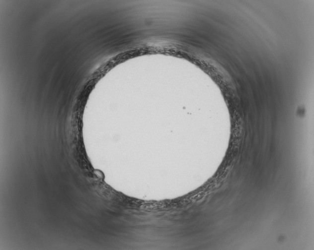 X0000116510776201001201444
