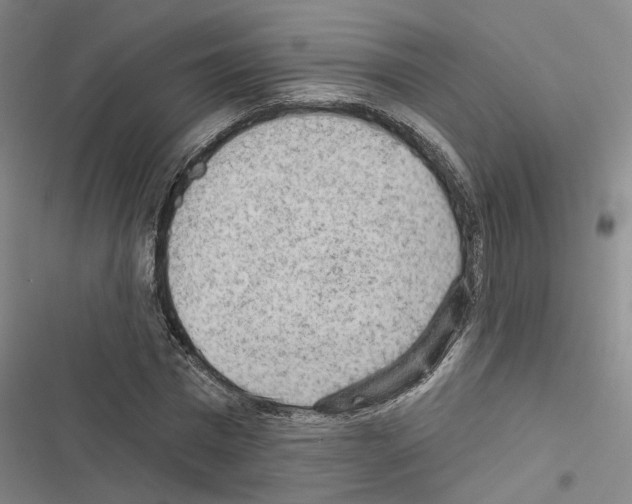 X0000116510777201001201444
