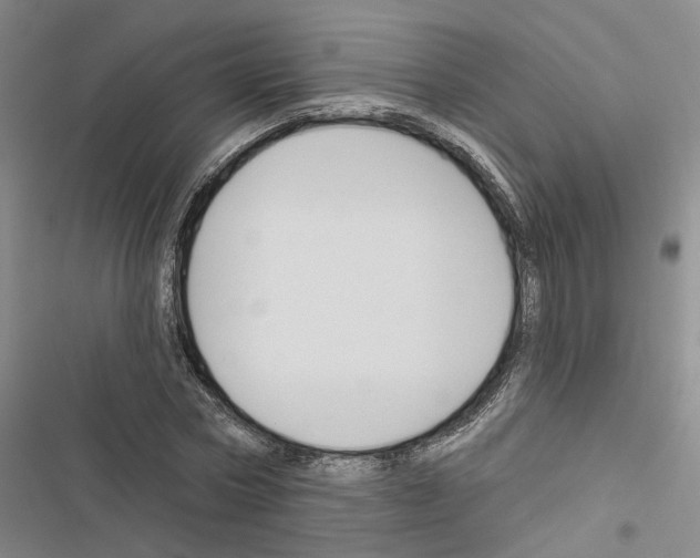 X0000116510778201001201444