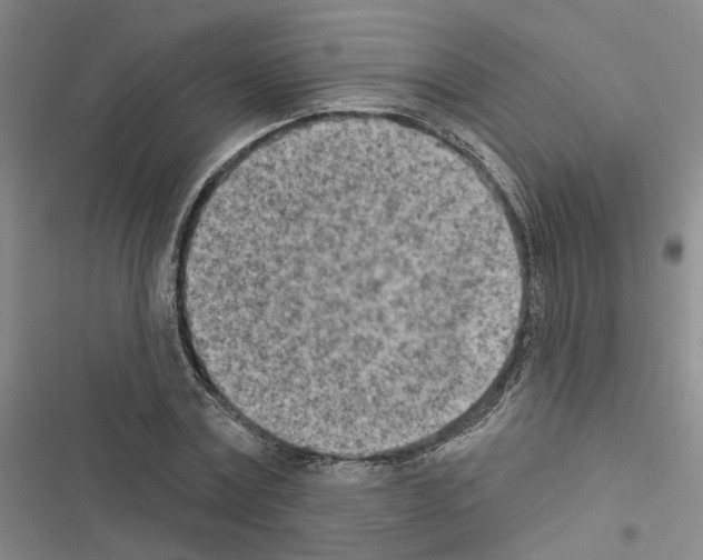 X0000116510779201001201444