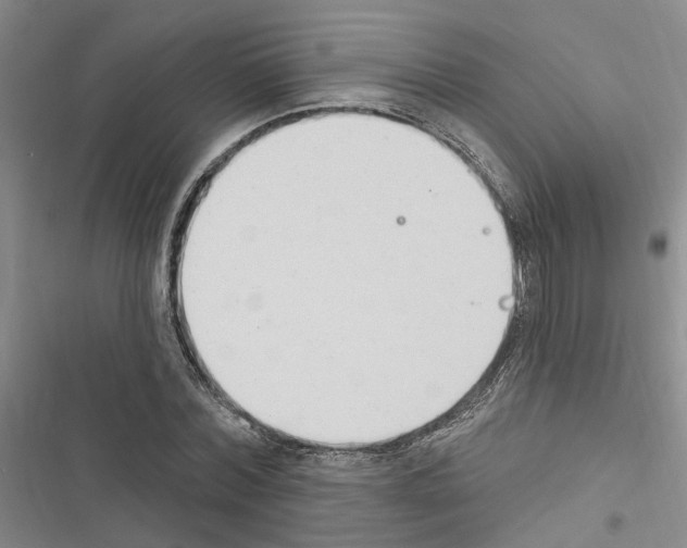 X0000116510780201001201444