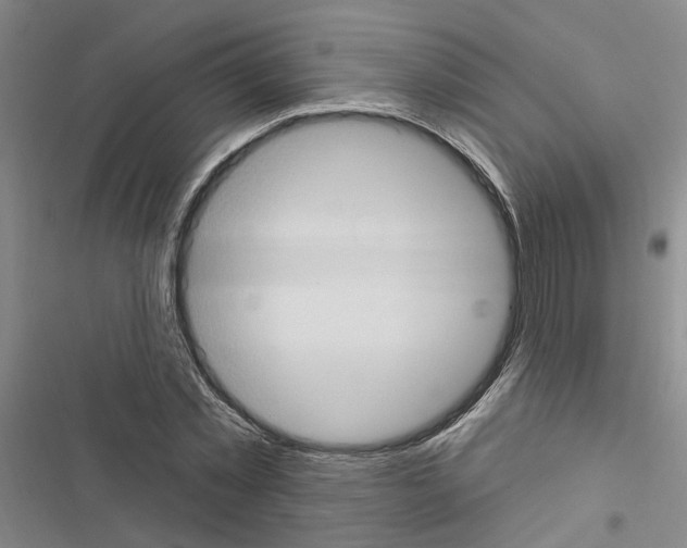 X0000116510781201001201444