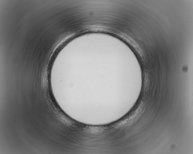 X0000116510782201001201444