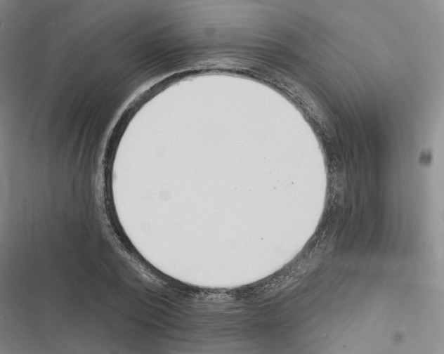 X0000116510784201001201444