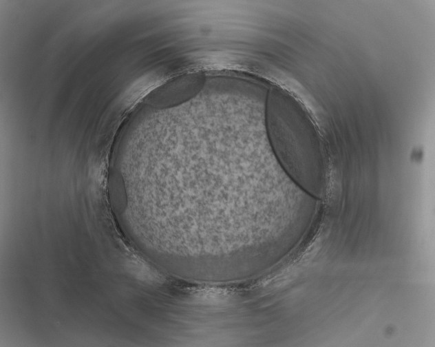 X0000116510785201001201444
