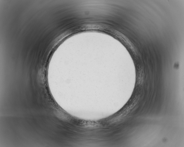 X0000116510786201001201444