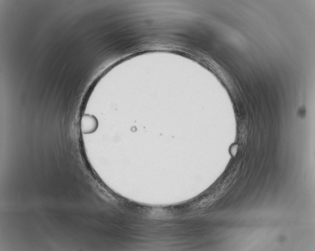 X0000116510787201001201444