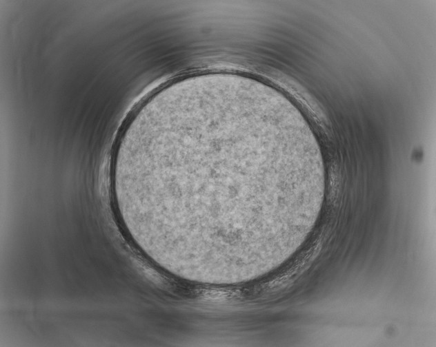 X0000116510790201001201444