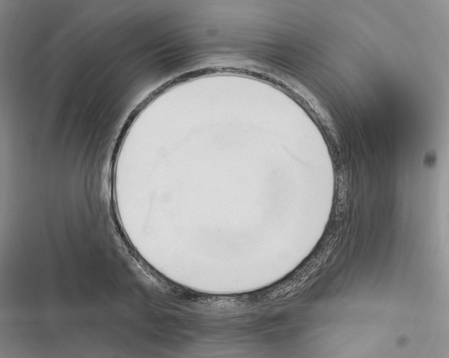 X0000116510791201001201444