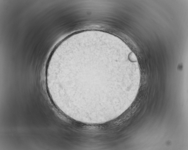 X0000116510792201001201444