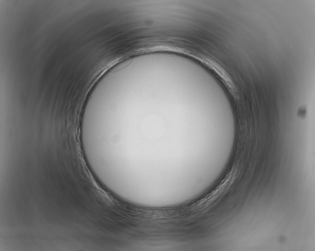 X0000116510793201001201444