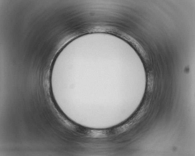 X0000116510794201001201444