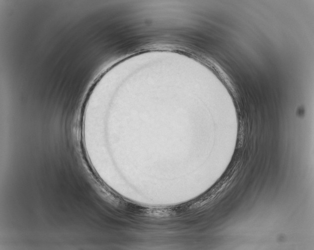 X0000116510795201001201444