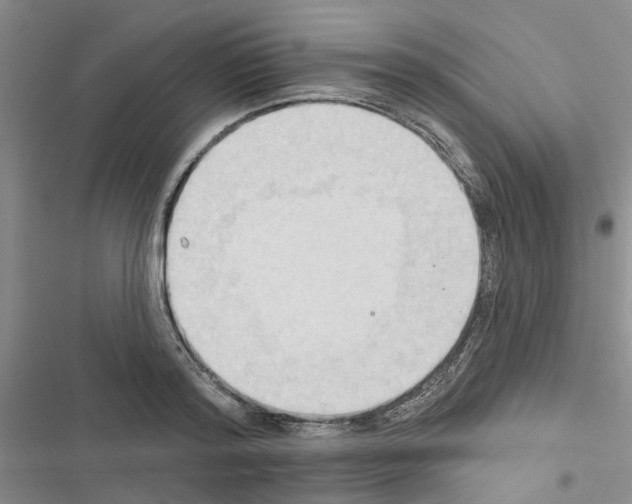 X0000116510796201001201444