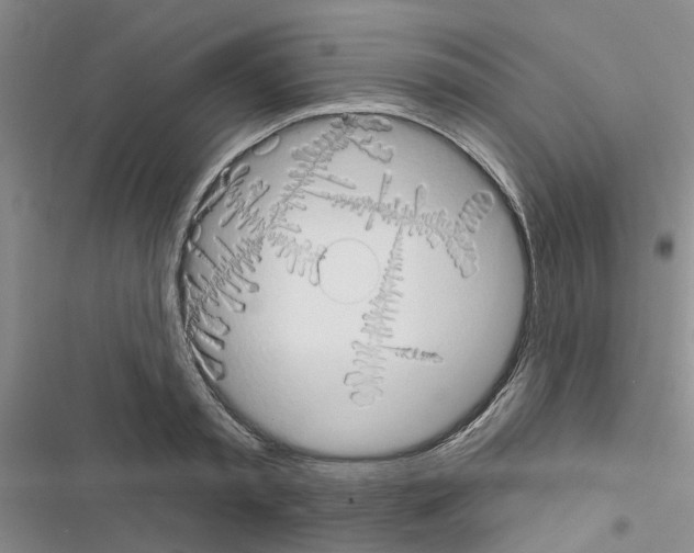 X0000116510797201001201444