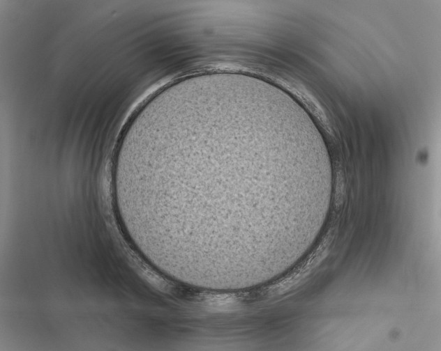 X0000116510798201001201444