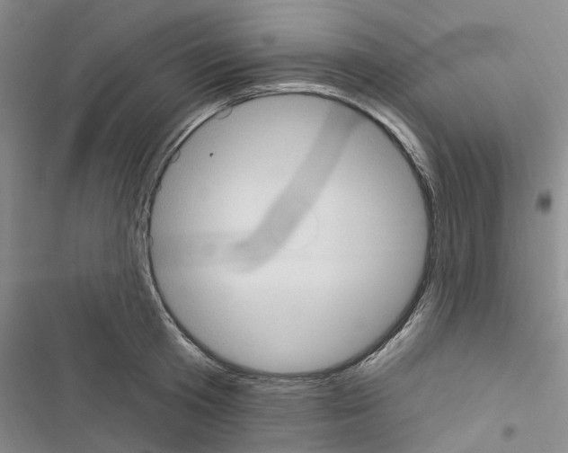 X0000116510801201001201444