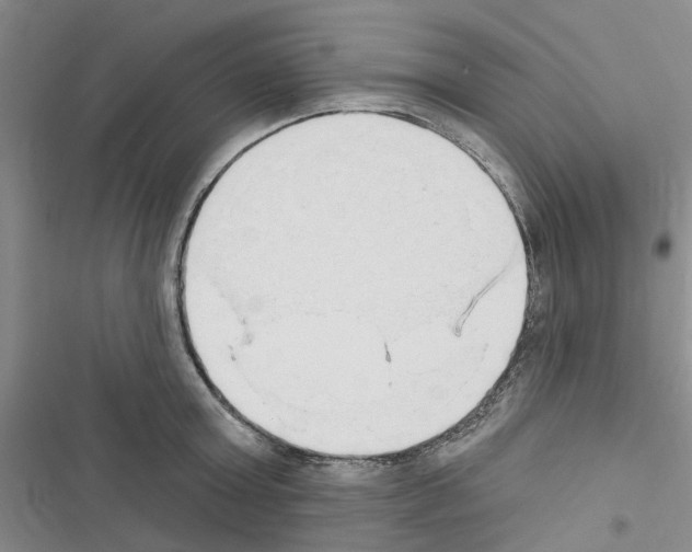 X0000116510803201001201444