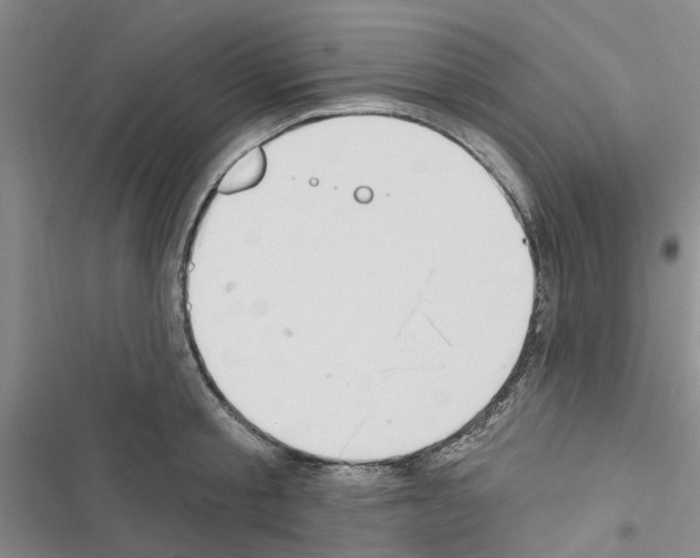 X0000116510805201001201444