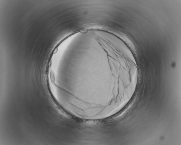 X0000116510806201001201444